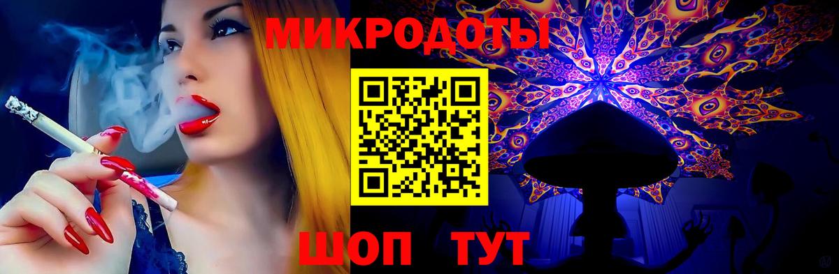Галлюциногенные грибы Psilocybe Курган